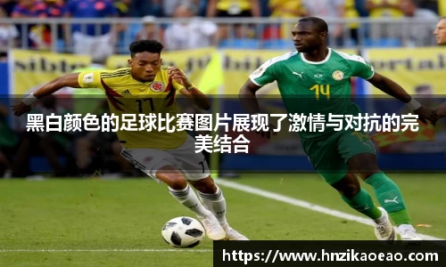 星空·综合体育中国官方网站