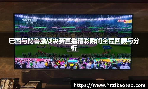 星空·综合体育官方网站